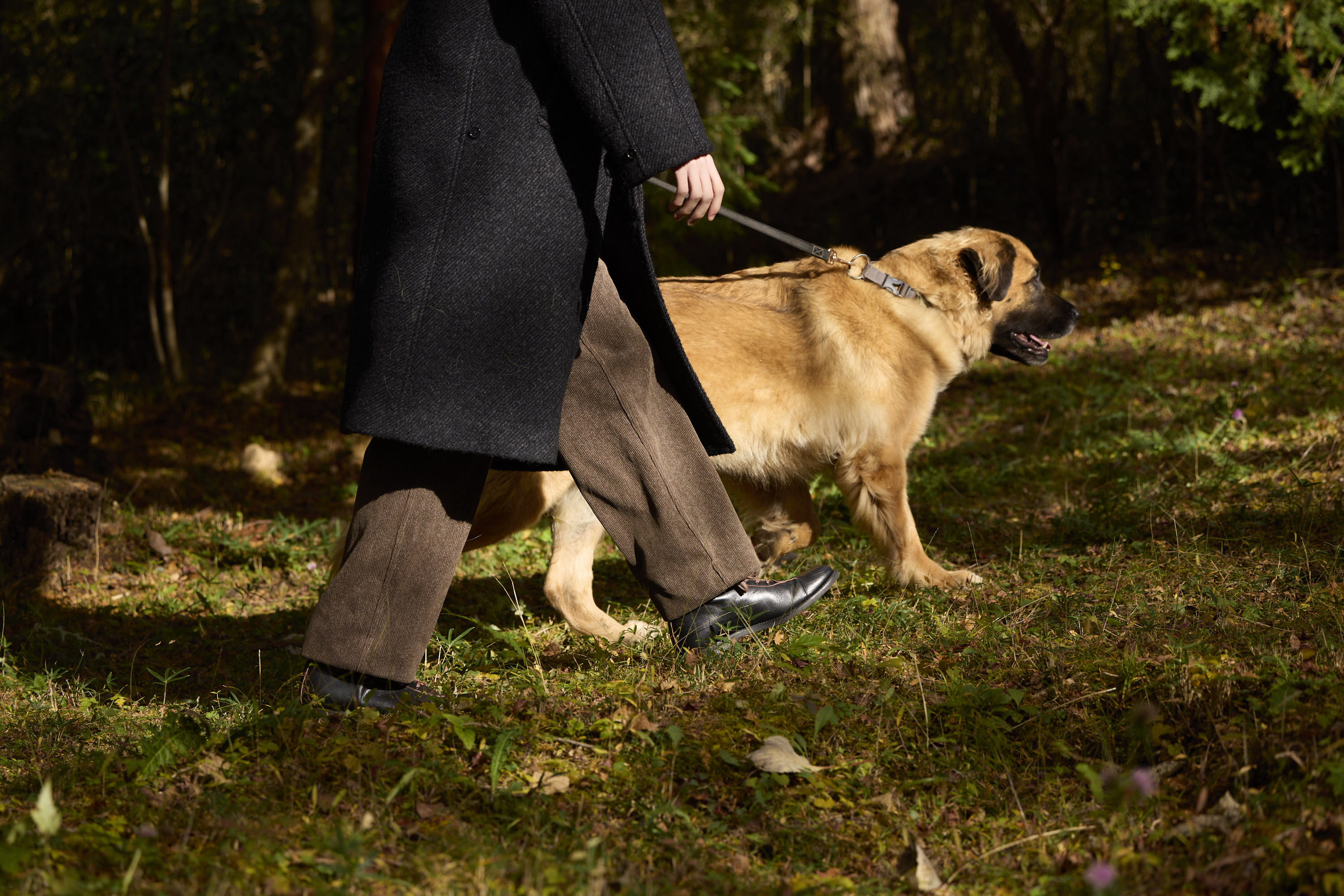 年末年始の店舗営業日およびECサイトの発送スケジュール