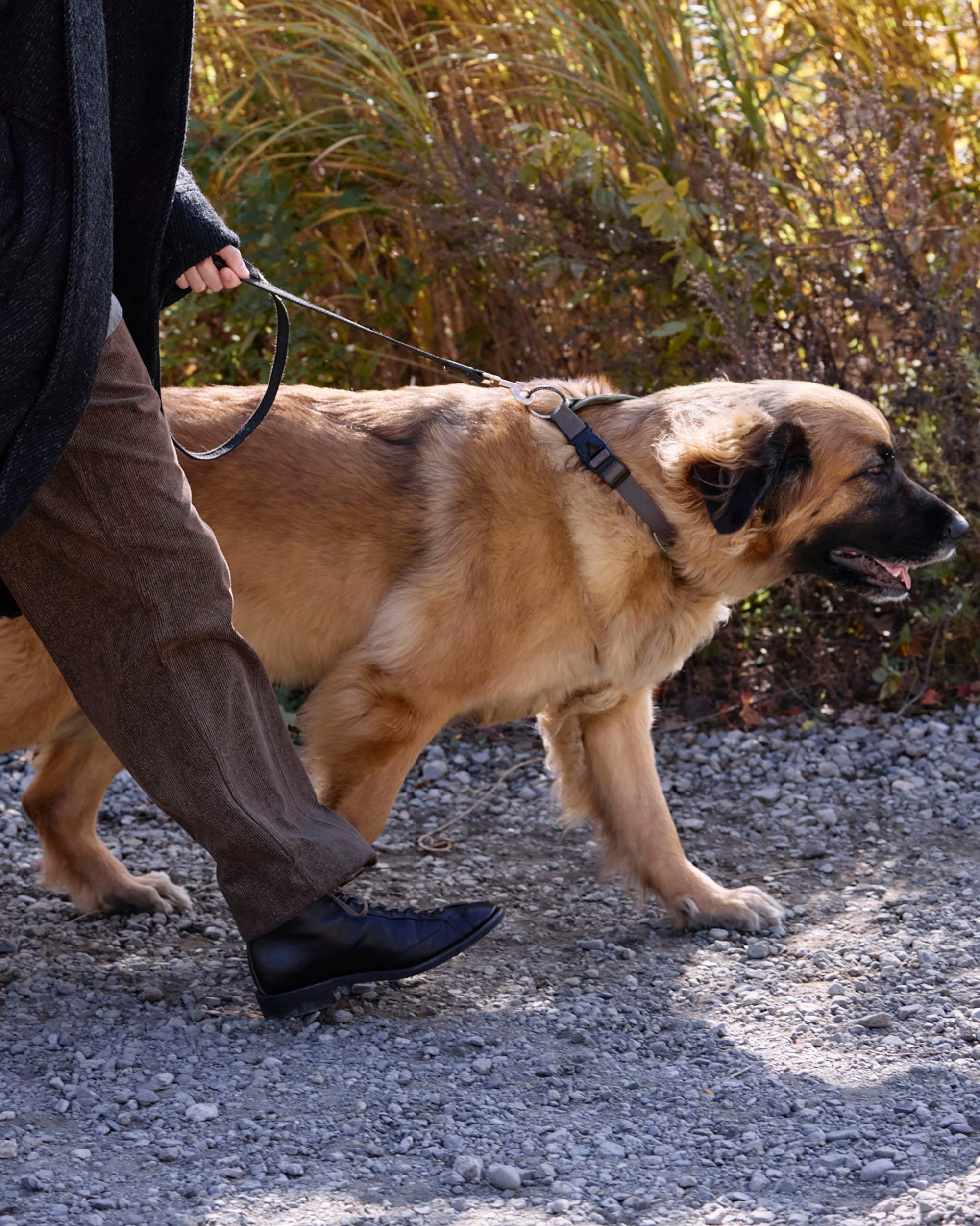 ALI2 / HENRY (ヘンリー) VINTAGE TEACORE/CALF再入荷のお知らせ