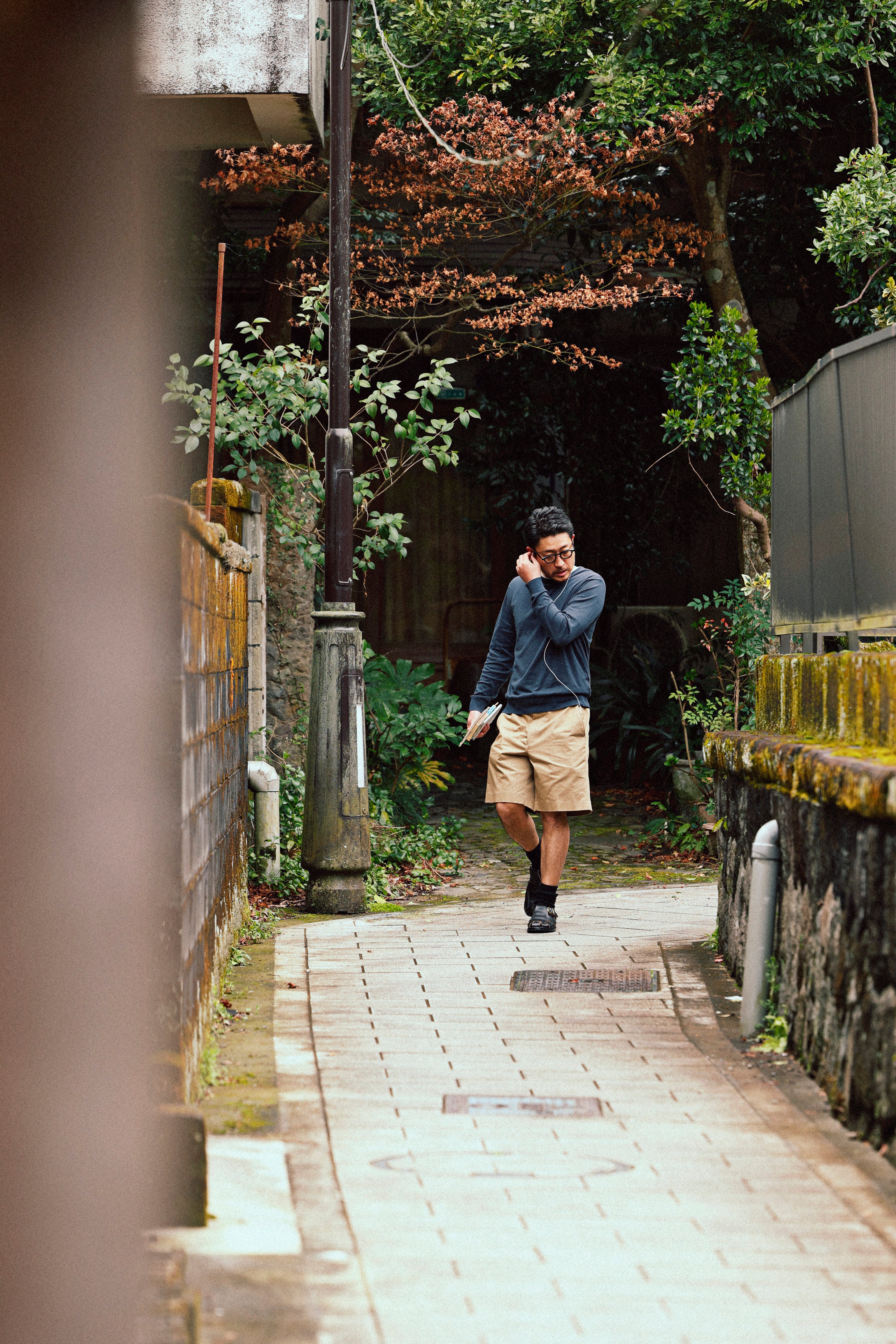 海明威黑/马屁股