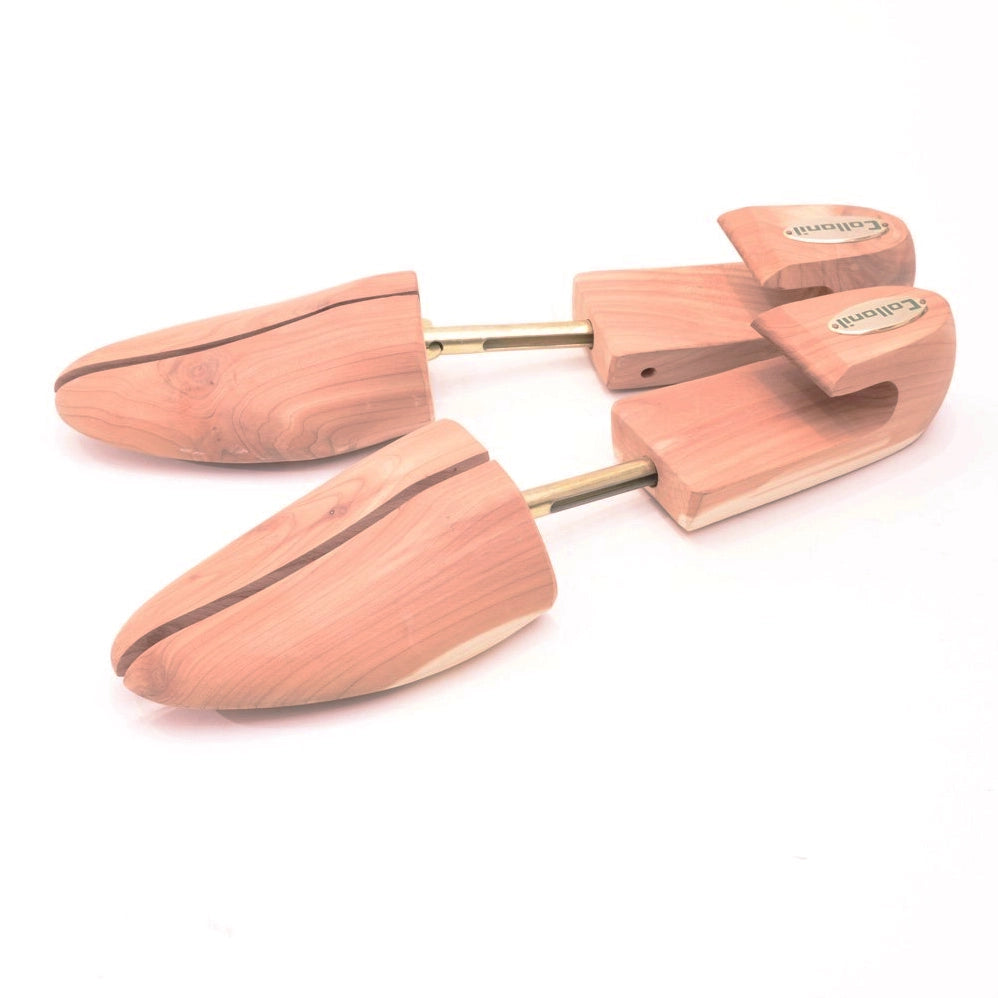 アロマティックシーダーシュートゥリー