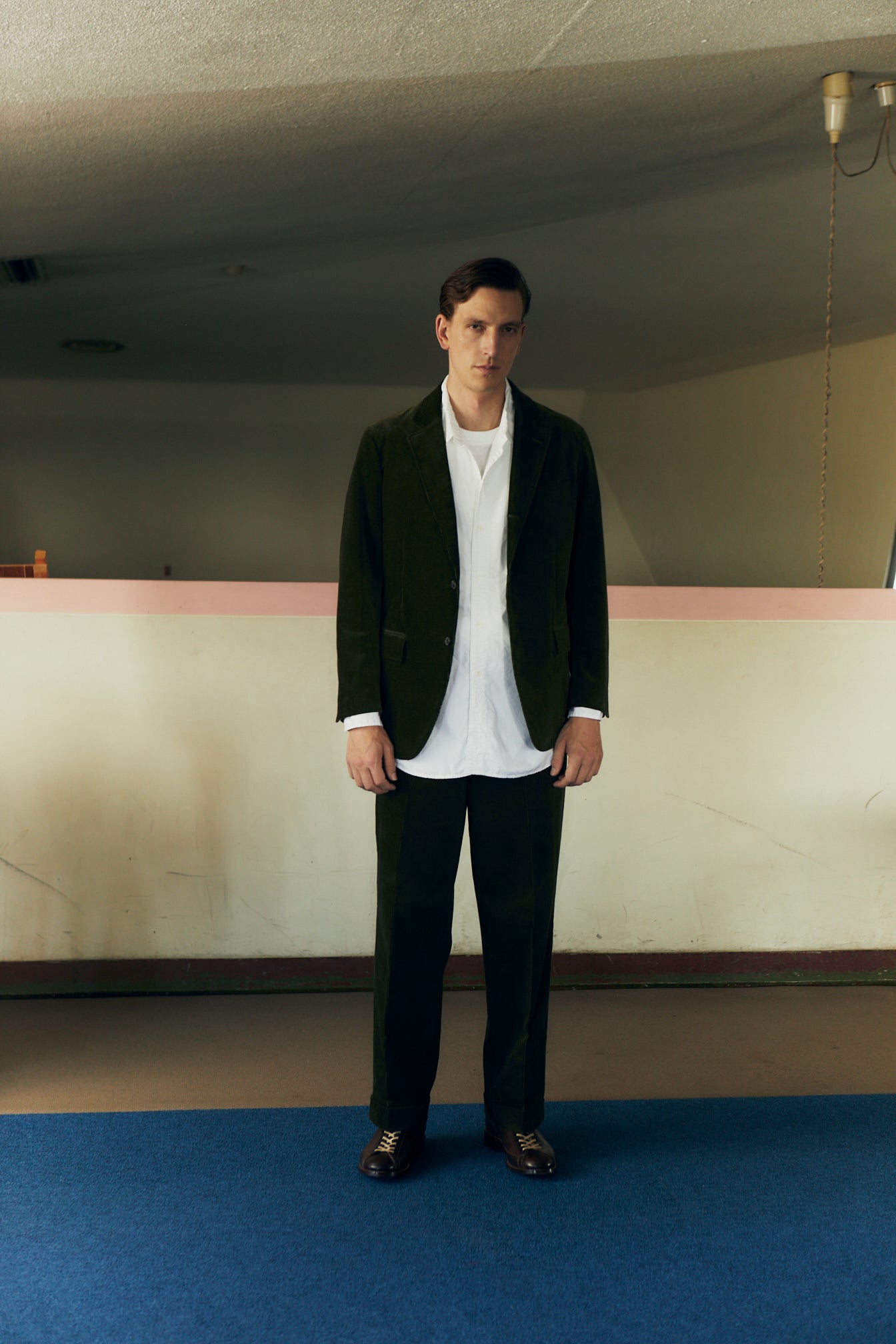 HENRY VACHETTA BROWN/COW