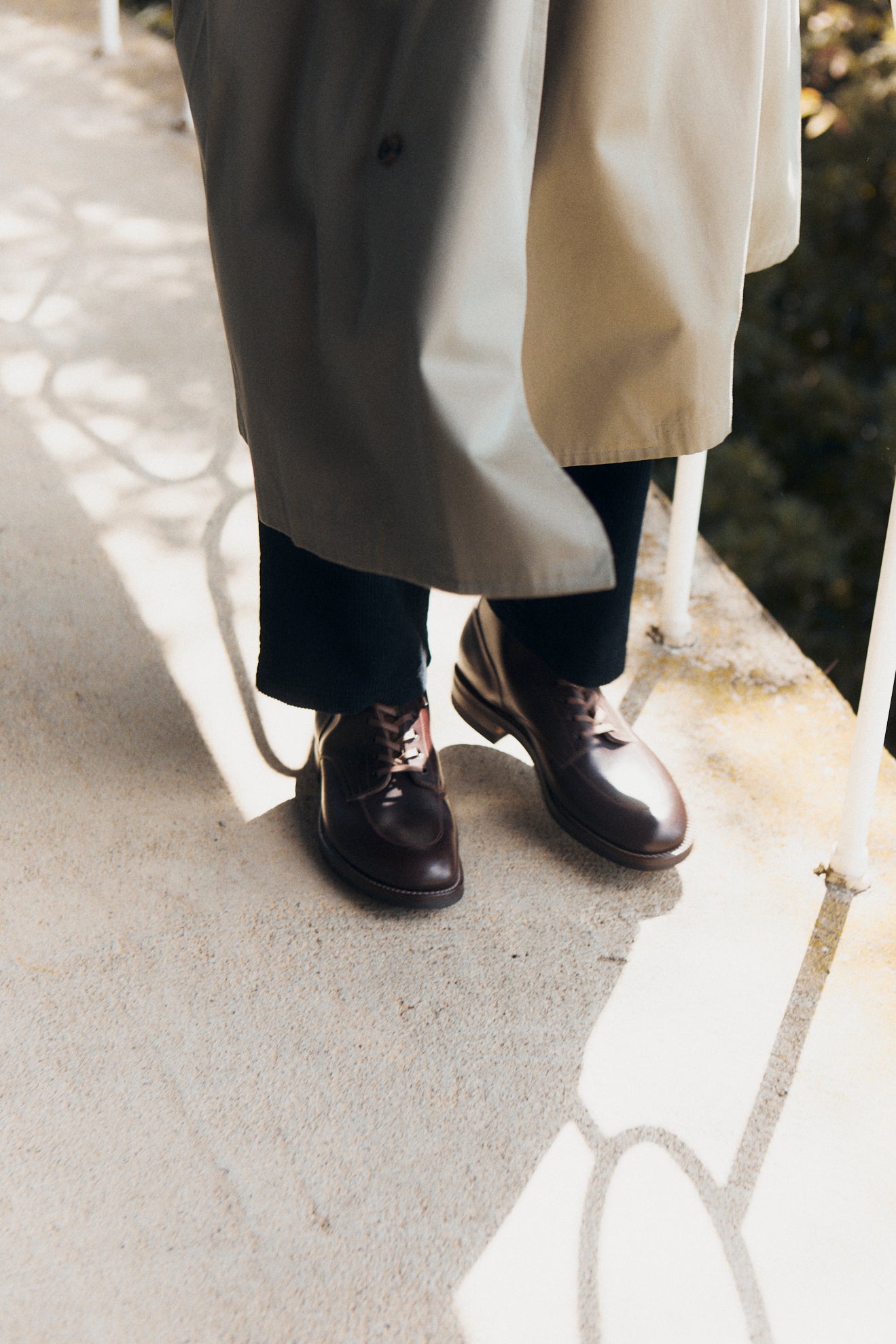 WARREN LOANO BURG / COW